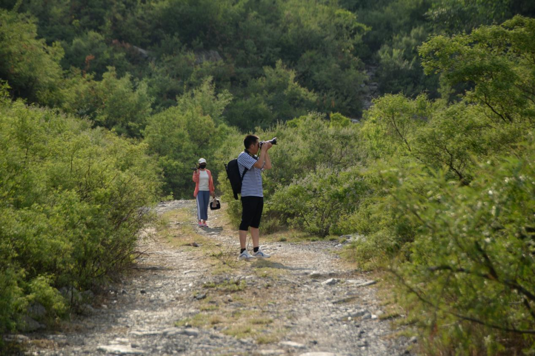 專訪李太昭丨從資深記者到VR全景創業-酷雷曼VR全景 專訪李太昭丨從資深記者到VR全景創業-酷雷曼VR全景