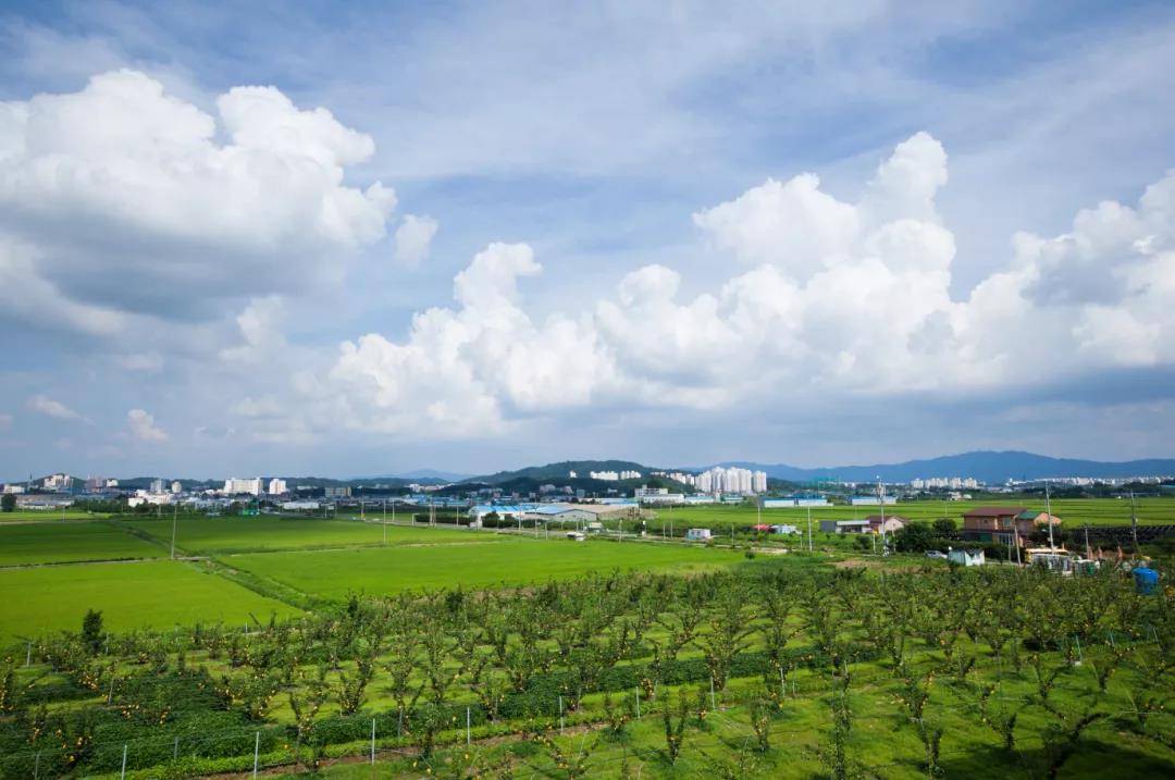 鄉村振興——VR全景助力農業新體驗